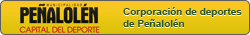 corporación de deportes pañalolen