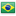 icono bandera
