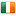 icono bandera